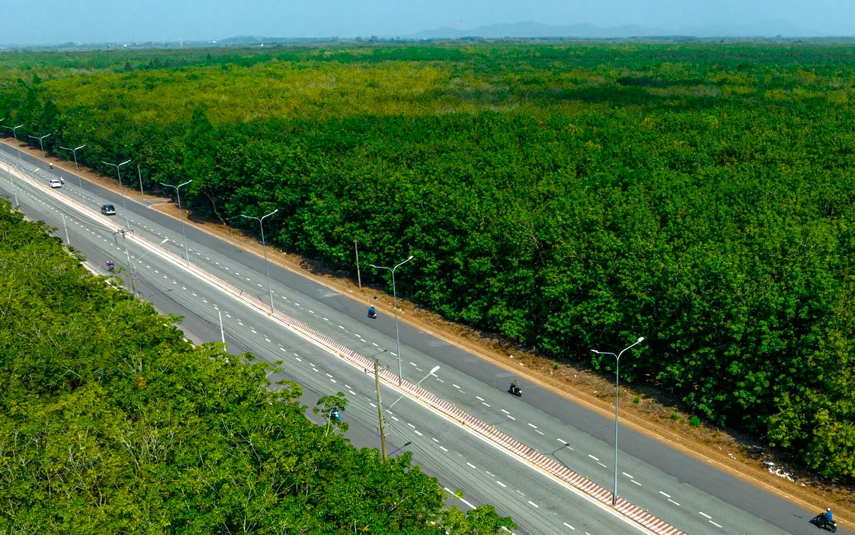 Ngắm tuyến đường băng qua rừng cao su nối Bình Dương với Tây Ninh vừa lên 6 làn ảnh 6