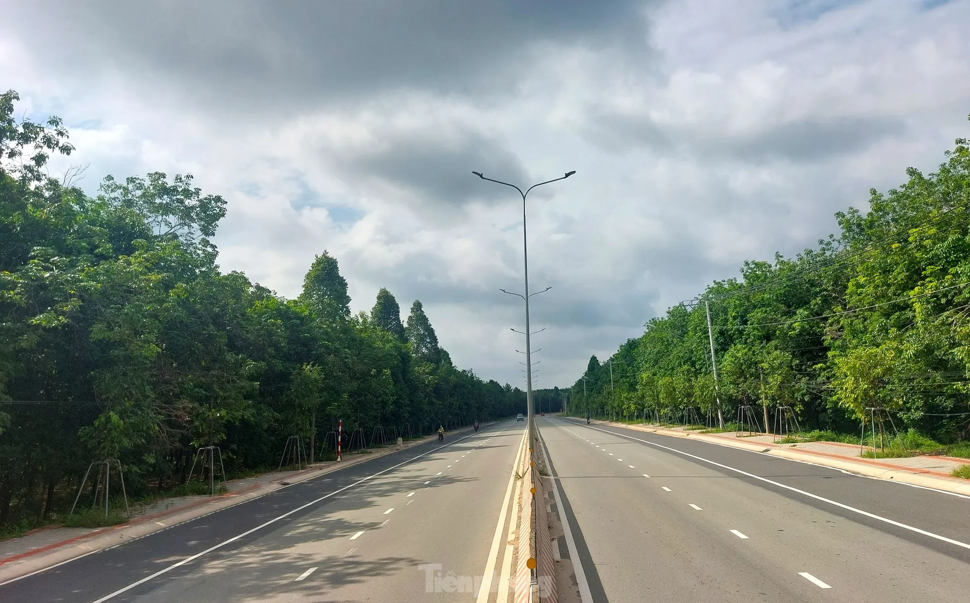 Ngắm tuyến đường băng qua rừng cao su nối Bình Dương với Tây Ninh vừa lên 6 làn ảnh 5