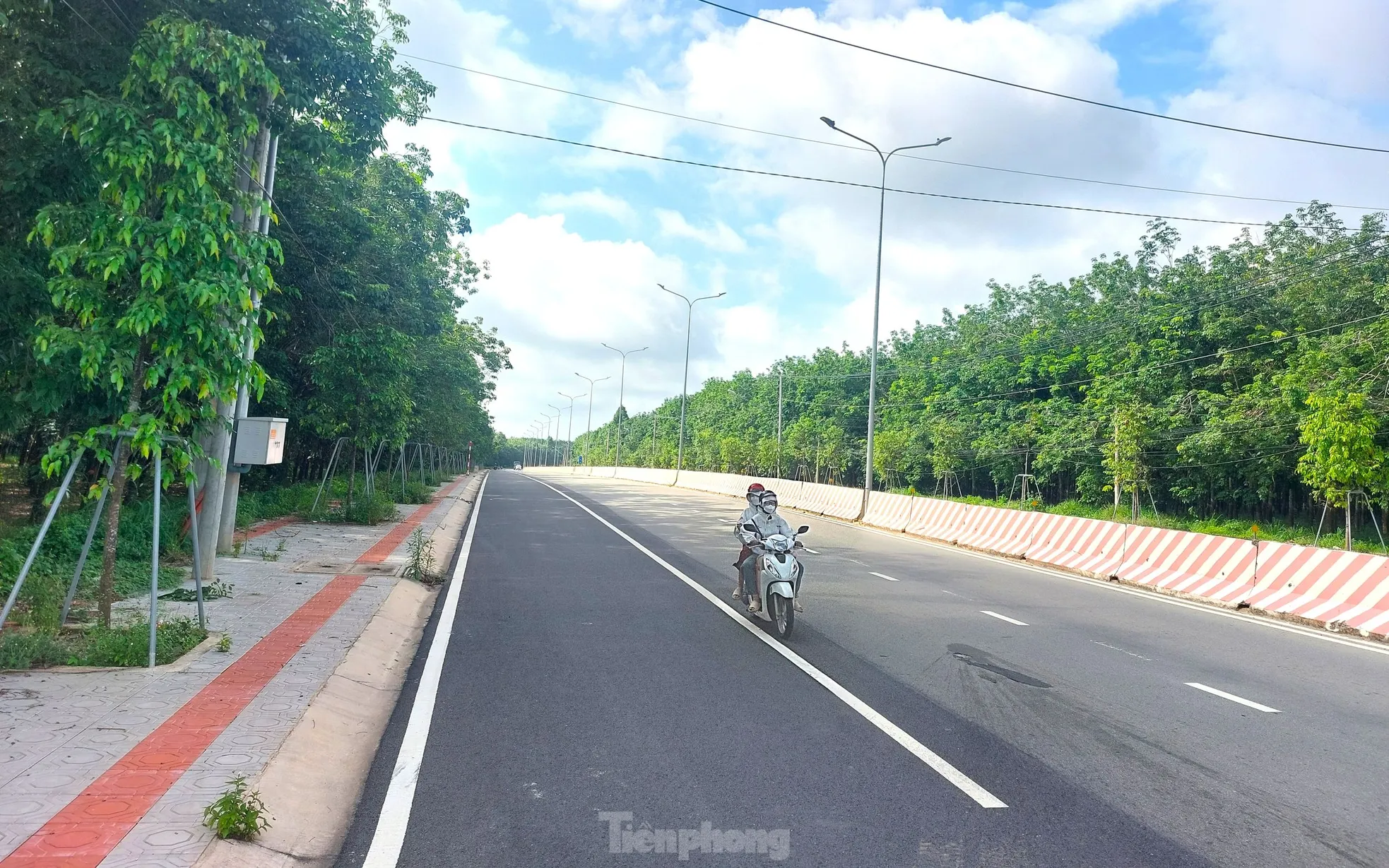 Ngắm tuyến đường băng qua rừng cao su nối Bình Dương với Tây Ninh vừa lên 6 làn ảnh 7
