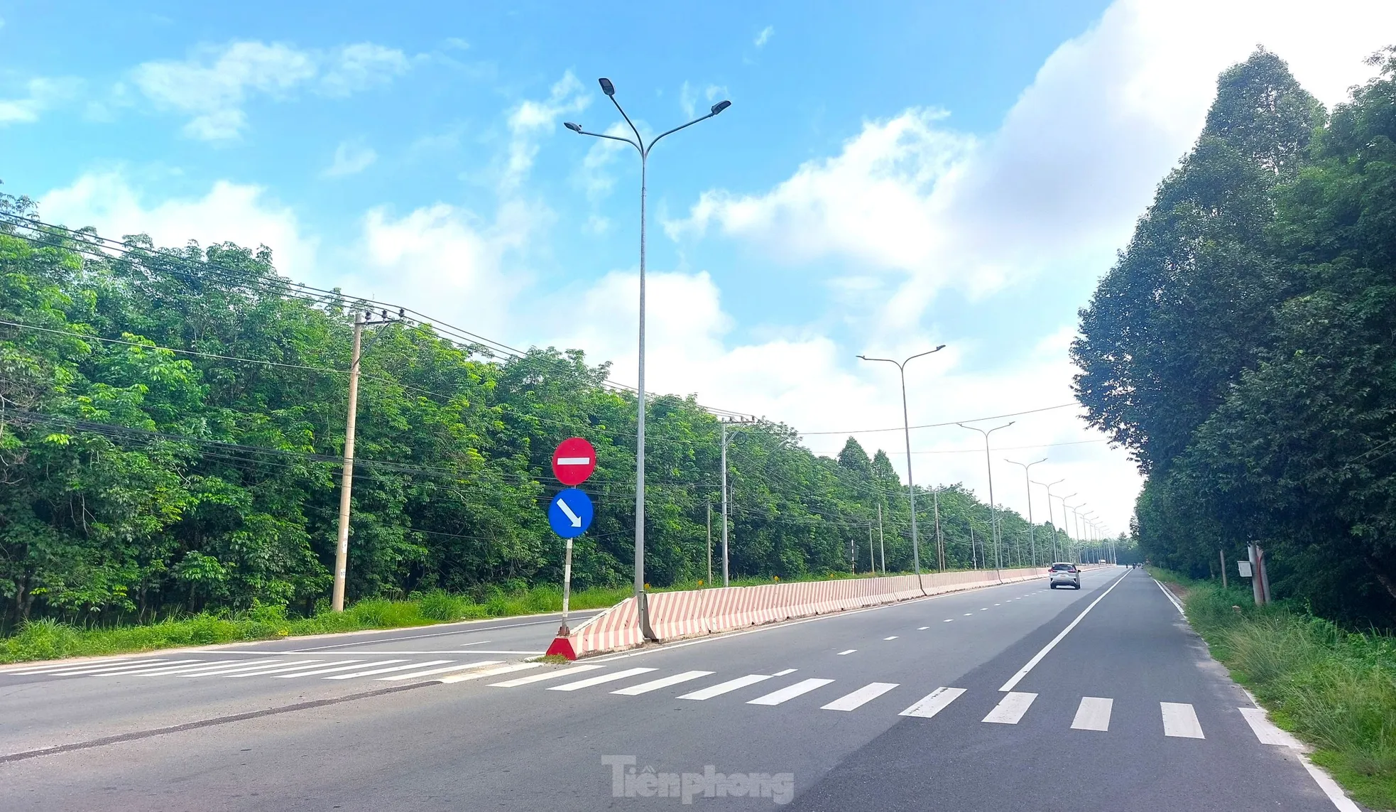 Ngắm tuyến đường băng qua rừng cao su nối Bình Dương với Tây Ninh vừa lên 6 làn ảnh 11