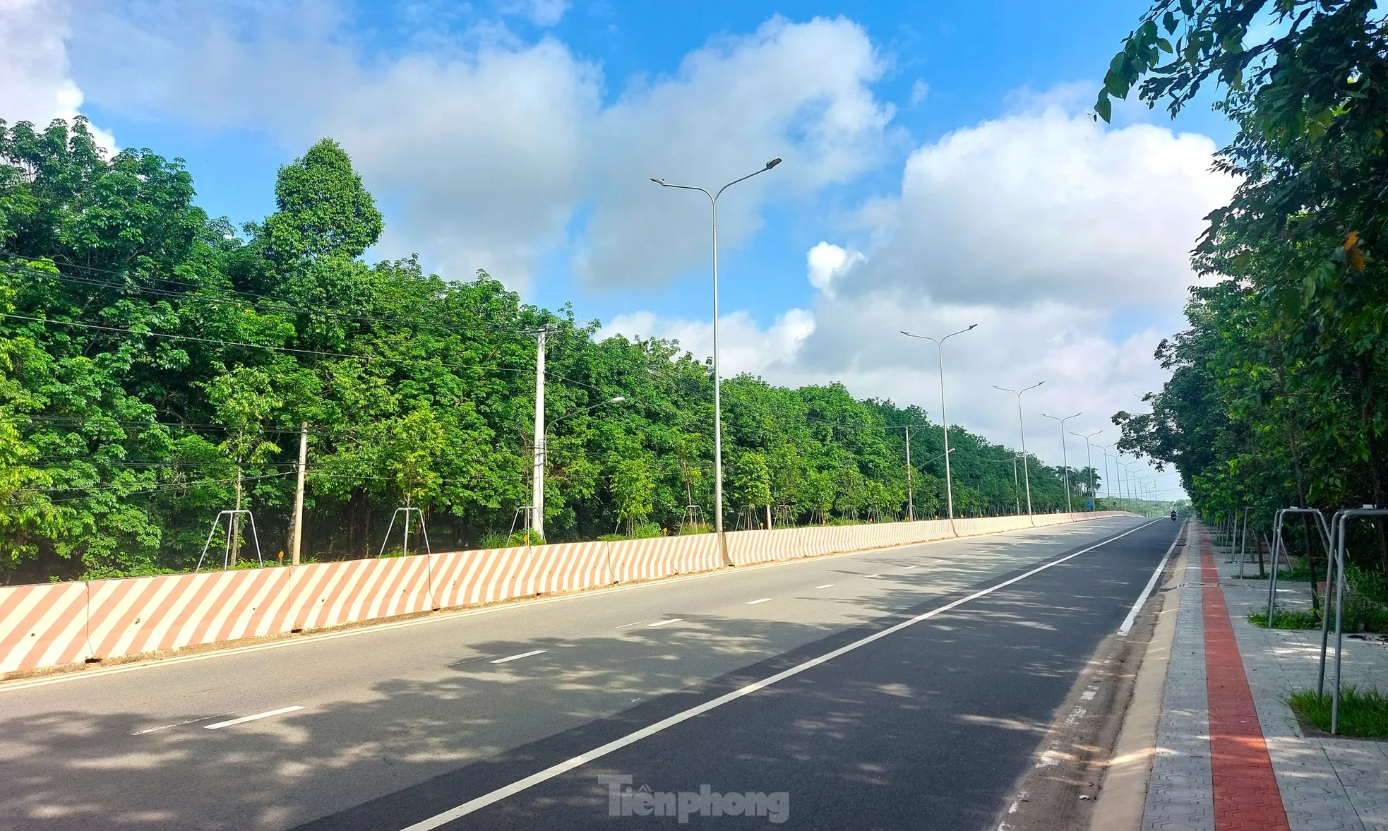 Ngắm tuyến đường băng qua rừng cao su nối Bình Dương với Tây Ninh vừa lên 6 làn ảnh 12