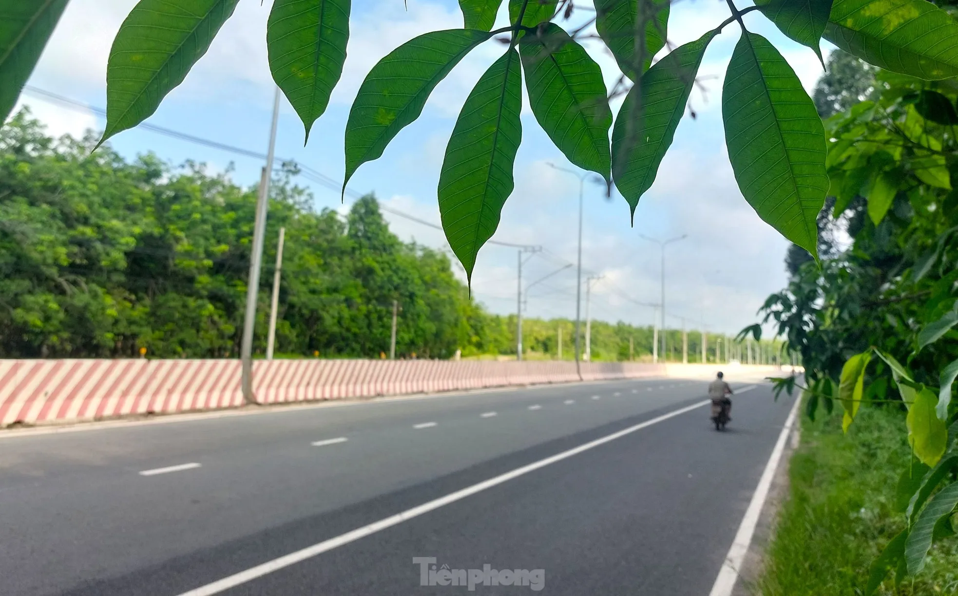 Ngắm tuyến đường băng qua rừng cao su nối Bình Dương với Tây Ninh vừa lên 6 làn ảnh 10