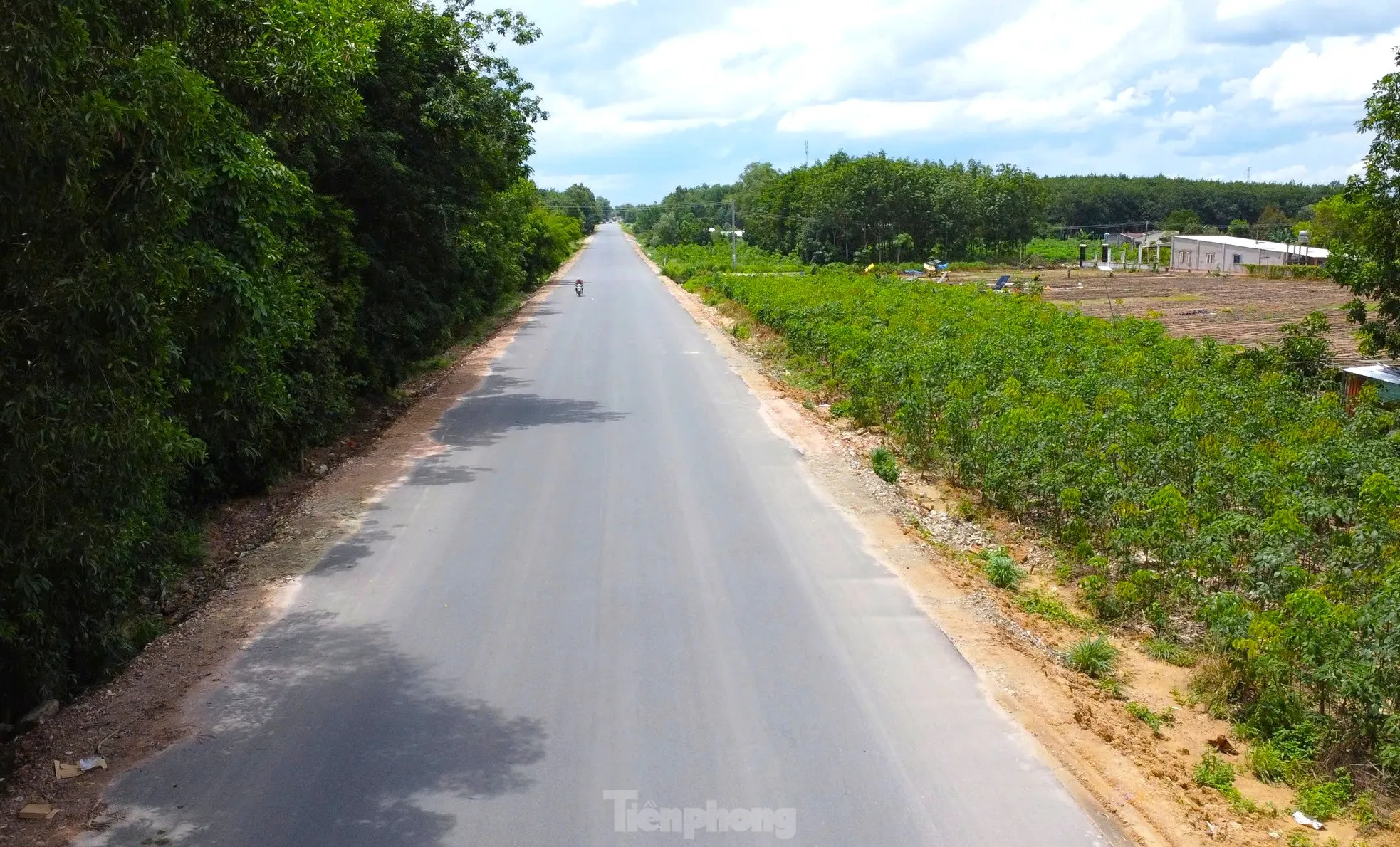 Ngắm tuyến đường như dải lụa xuyên rừng nối các tỉnh, thành miền Đông Nam bộ ảnh 9