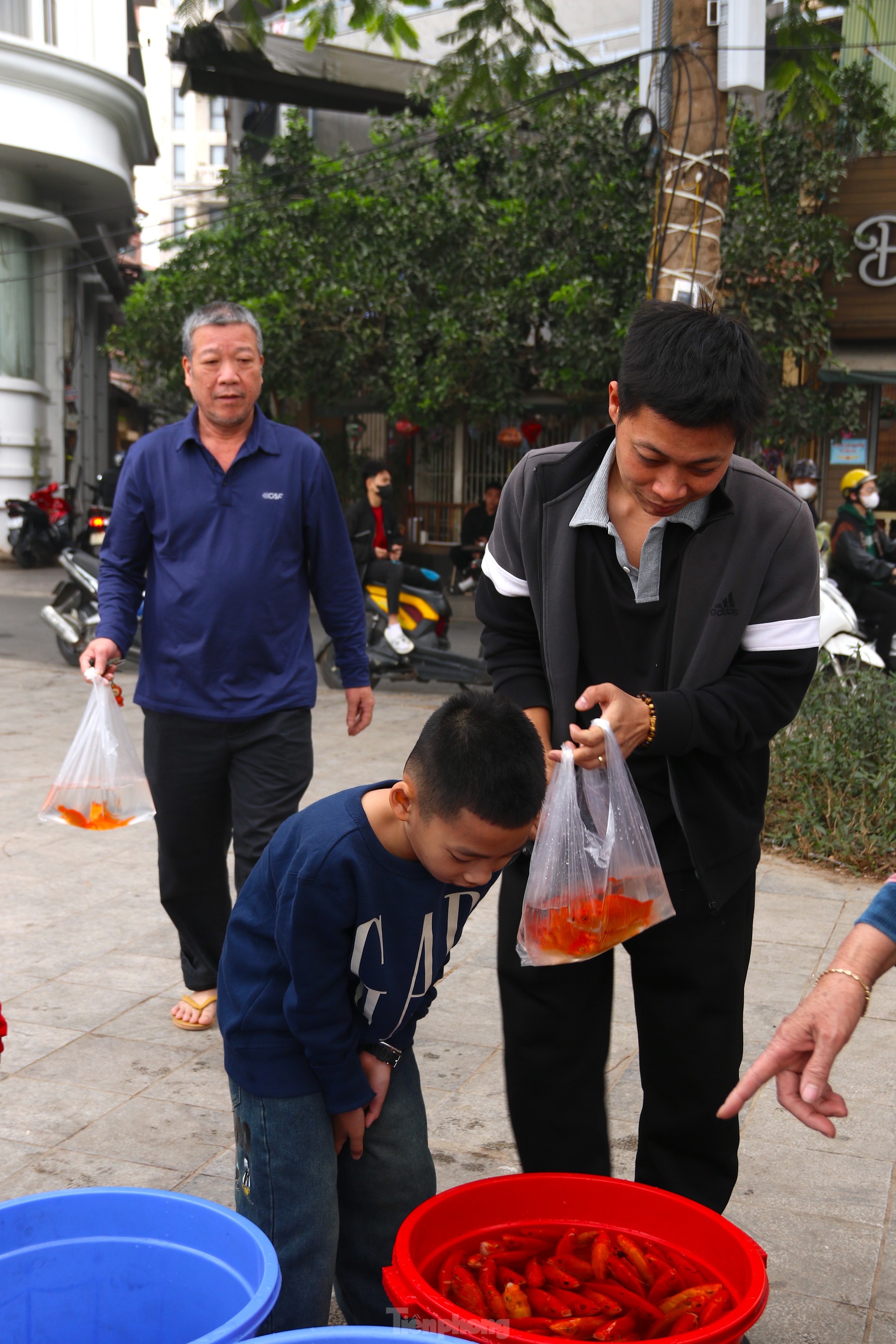 Người Hà Nội thả cá chép vào thùng nhựa 180 lít để tiễn ông Công, ông Táo về trời ảnh 4