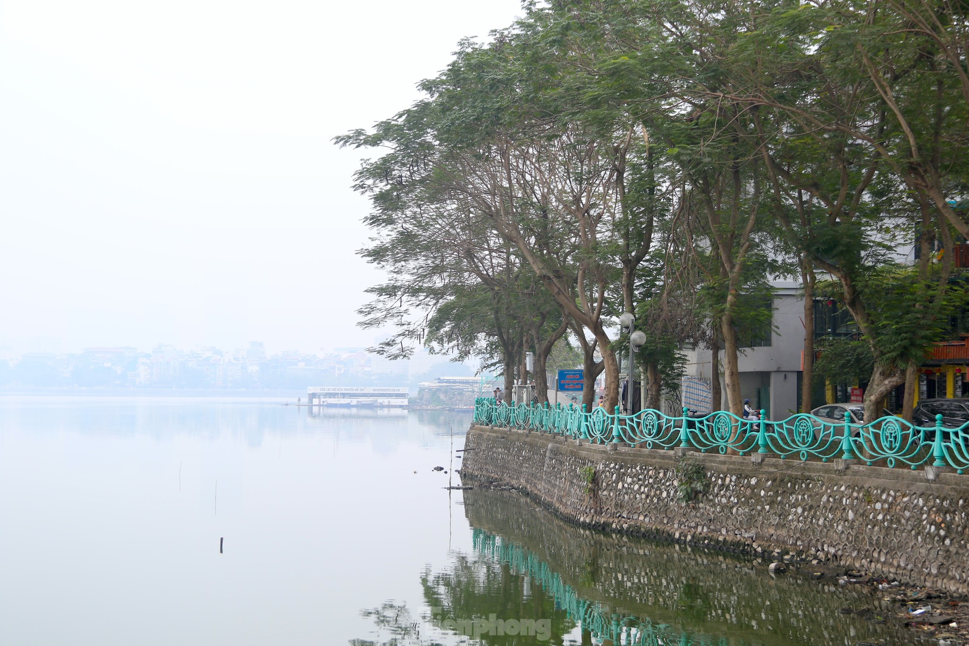 Người Hà Nội thả cá chép vào thùng nhựa 180 lít để tiễn ông Công, ông Táo về trời ảnh 12