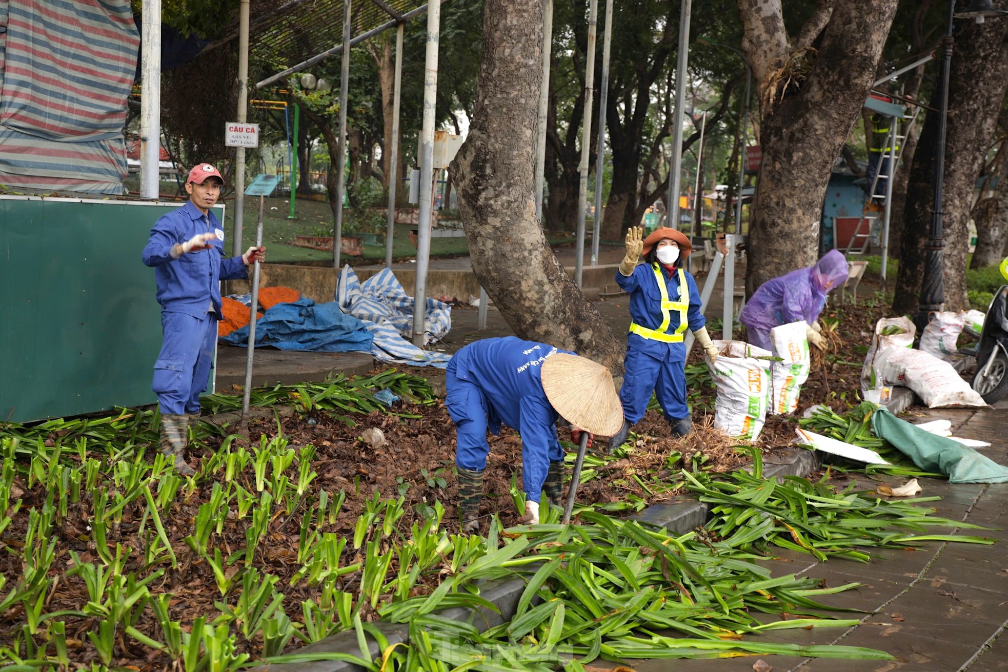 Hiện trạng công viên lớn nhất Thủ đô sắp được cải tạo ảnh 8