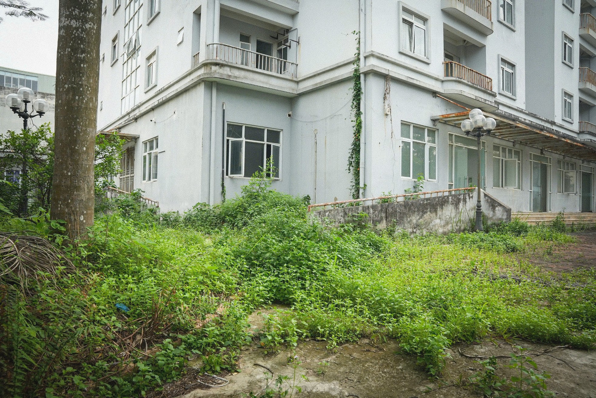 Cảnh hoang tàn, lãng phí tại khu tái định cư bị 'bỏ mặc' giữa Thủ đô ảnh 5