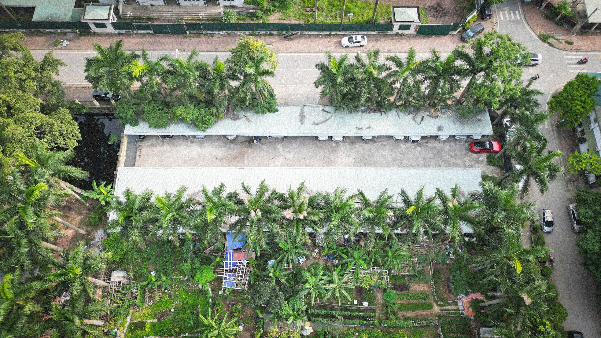 Cảnh hoang tàn, lãng phí tại khu tái định cư bị 'bỏ mặc' giữa Thủ đô ảnh 12