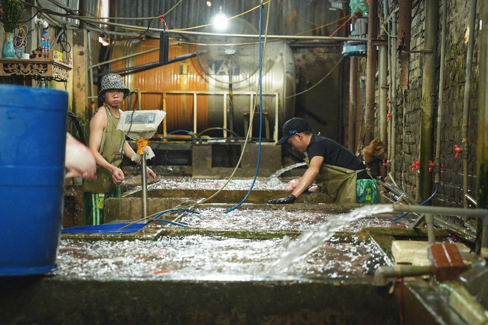 Bên trong chợ đầu mối thủy sản lớn nhất Thủ đô: Xuống cấp, chật chội, nhếch nhác ảnh 5