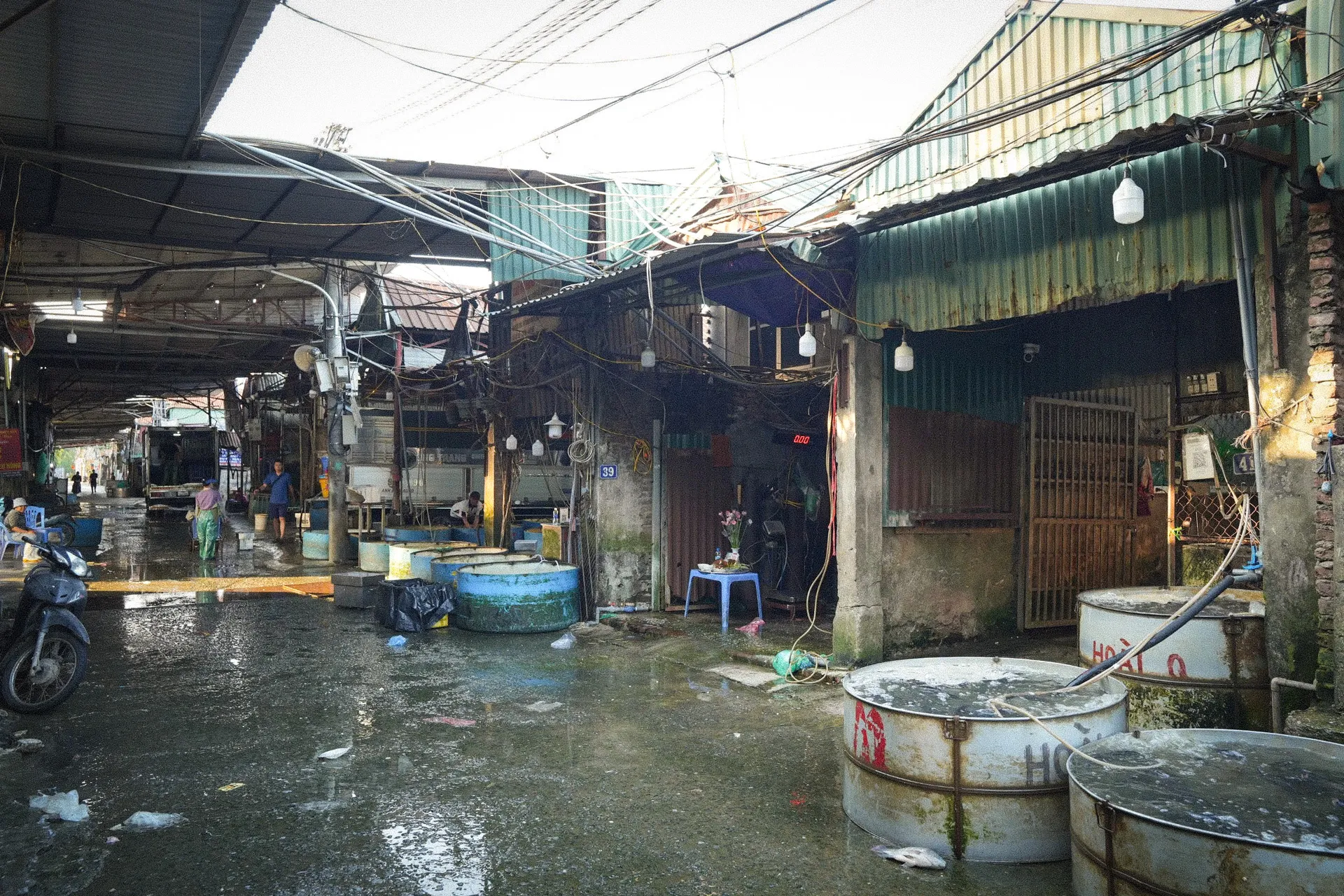 Bên trong chợ đầu mối thủy sản lớn nhất Thủ đô: Xuống cấp, chật chội, nhếch nhác ảnh 2