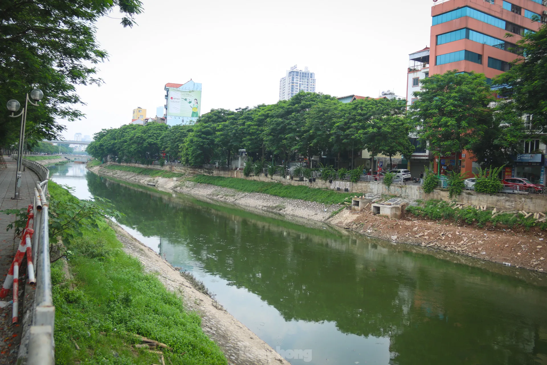 Nước sông Tô Lịch chuyển màu xanh lạ mắt ảnh 10