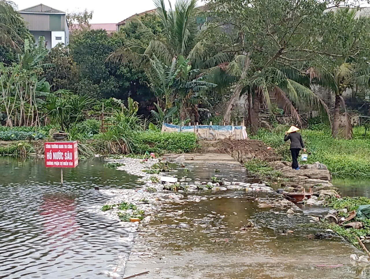 Cá chết hàng loạt trên suối Cổ Đam ở Thanh Hóa ảnh 1