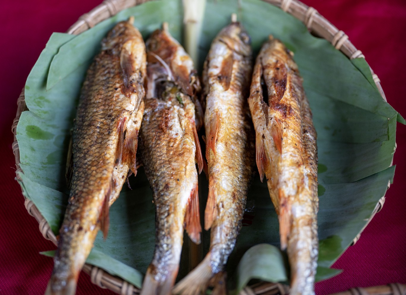 Ngập tràn đặc sản ngon bổ rẻ ở ‘kinh đô ẩm thực’ ảnh 4