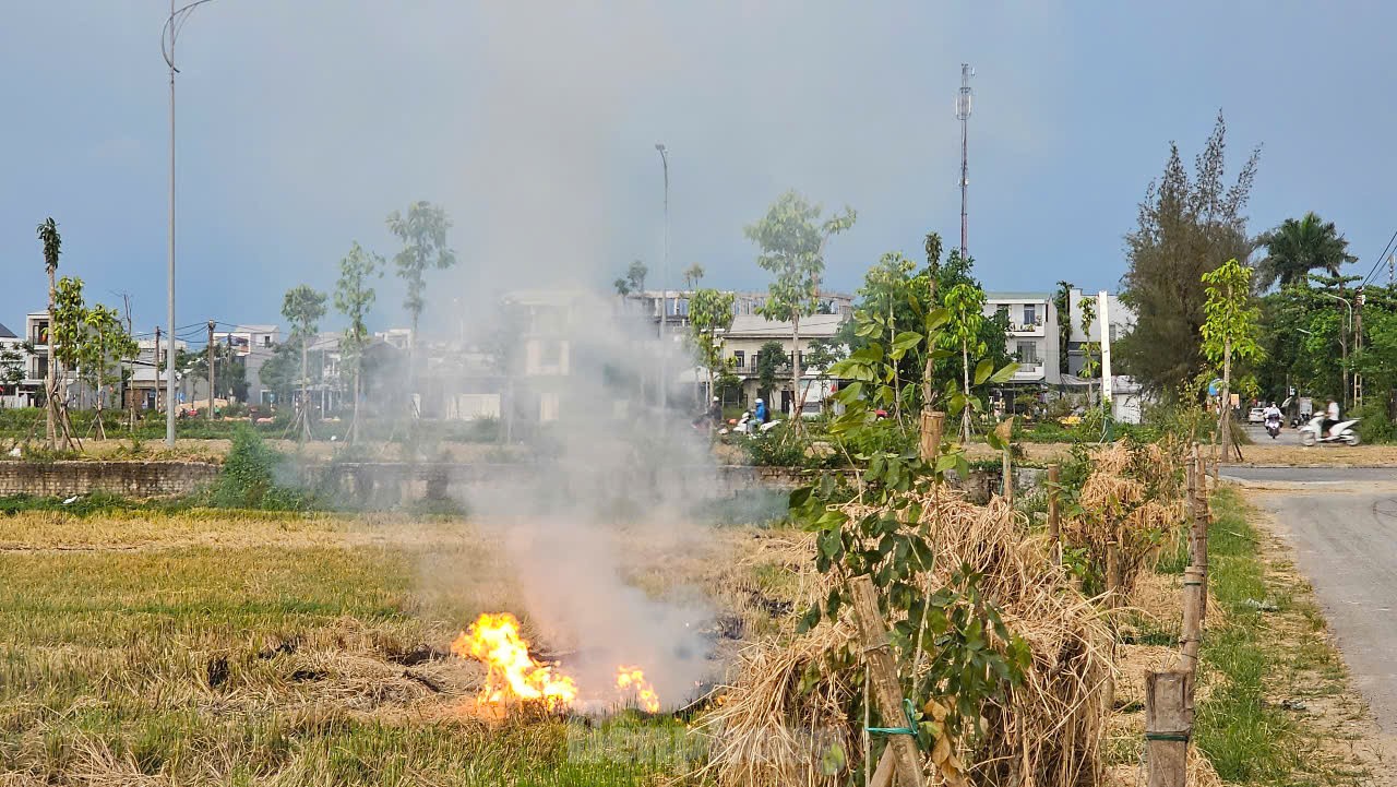 Mịt mù khói đốt đồng mùa gặt ở Huế ảnh 2