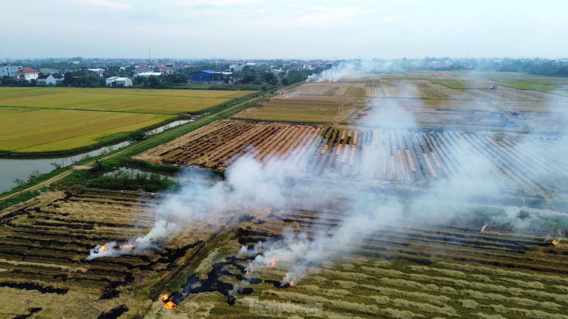 Mịt mù khói đốt đồng mùa gặt ở Huế ảnh 19