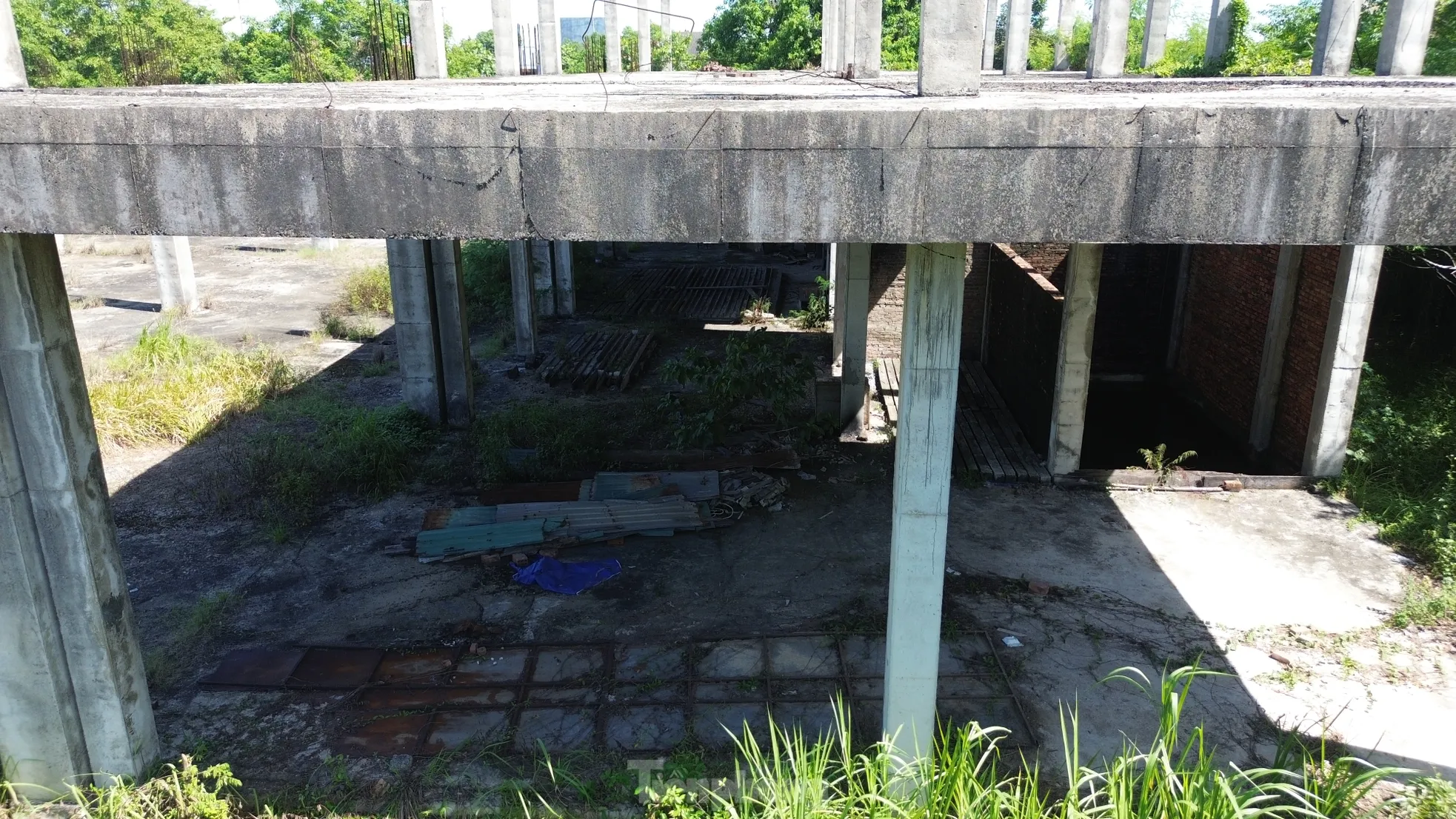 Sau 15 năm dự án khu thương mại giữa trung tâm Huế vẫn thành bãi hoang ảnh 13