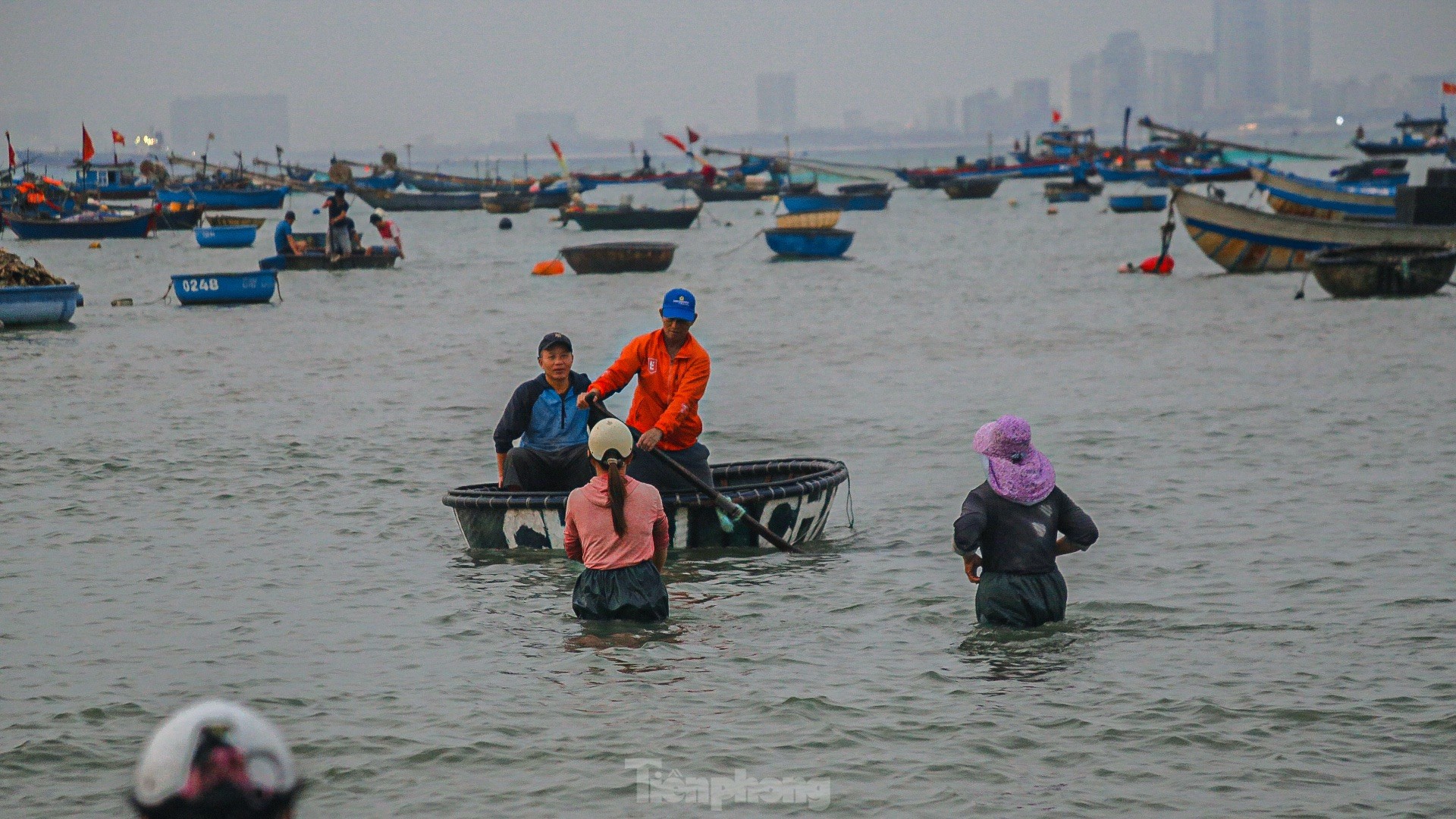 Mất mùa ruốc biển, ngư dân đứng ngồi không yên ảnh 3