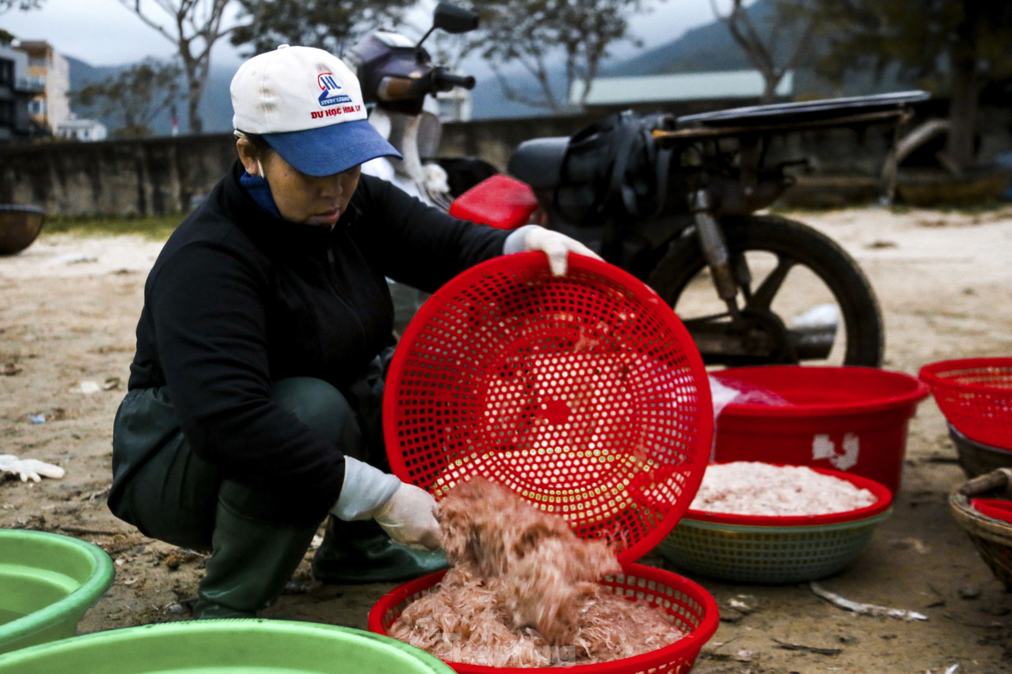 Mất mùa ruốc biển, ngư dân đứng ngồi không yên ảnh 15