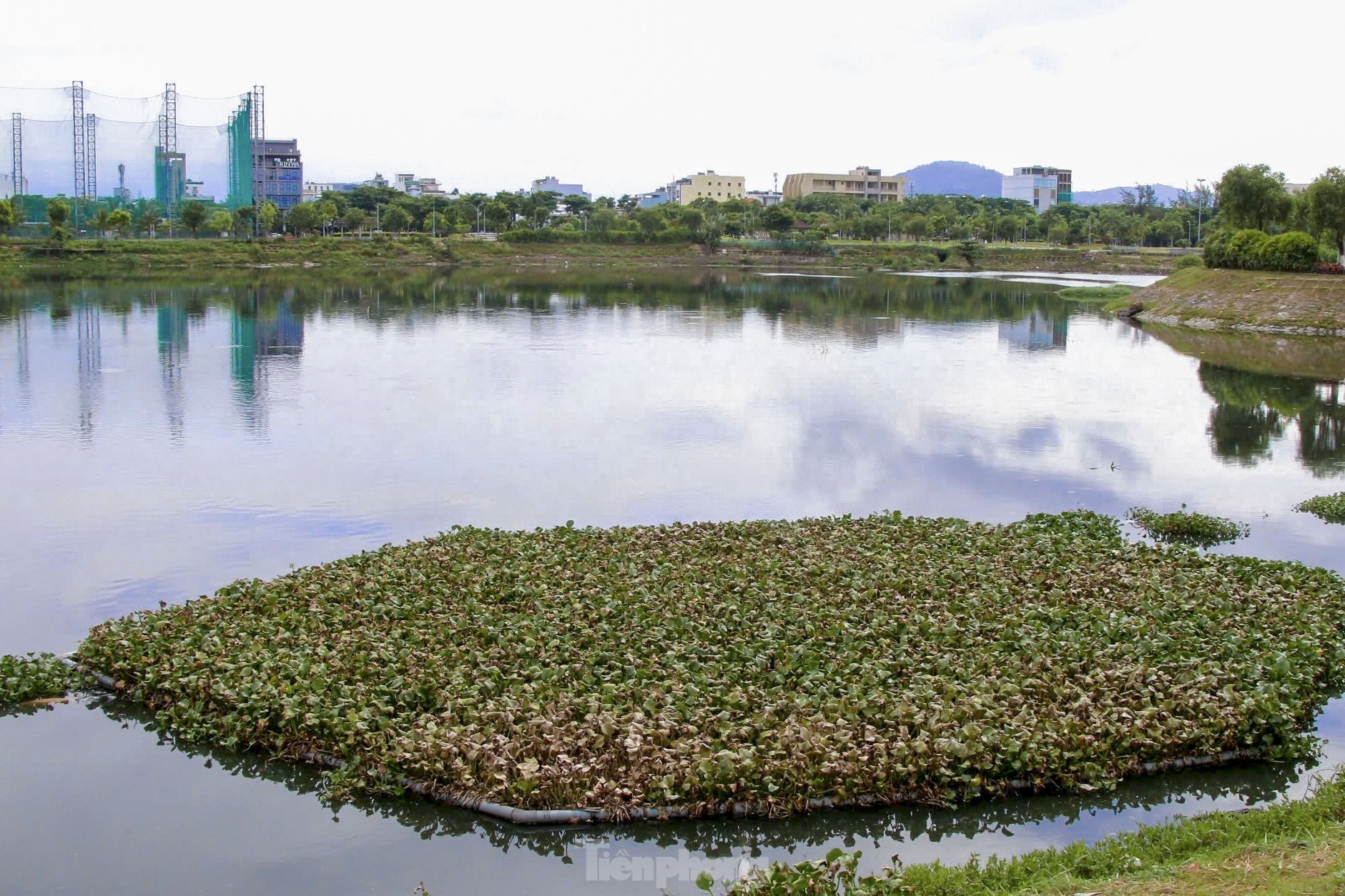 Cận cảnh hồ điều tiết ở Đà Nẵng được đầu tư hơn 17 tỷ đồng để nạo vét ảnh 1