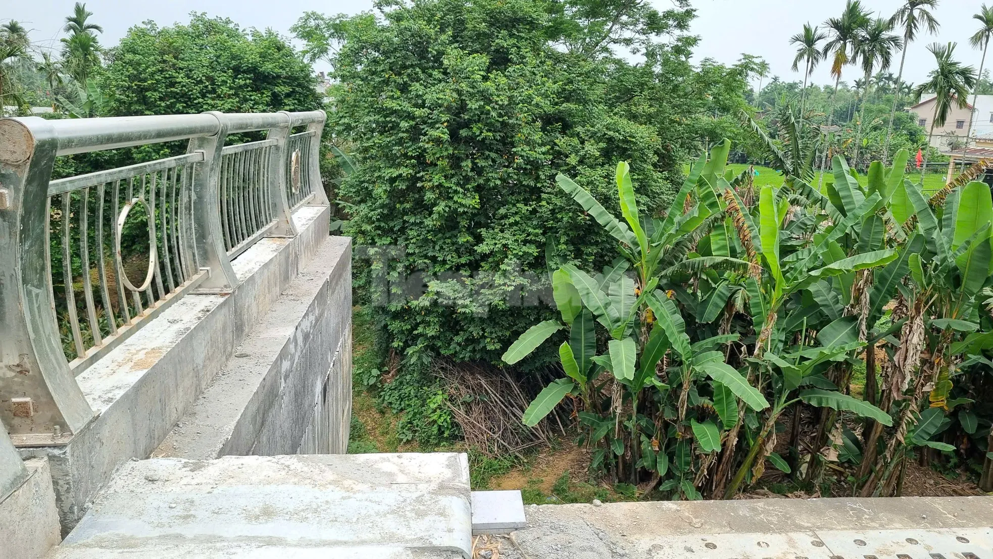 Cầu trăm tỷ chơi vơi không đường dẫn ảnh 6
