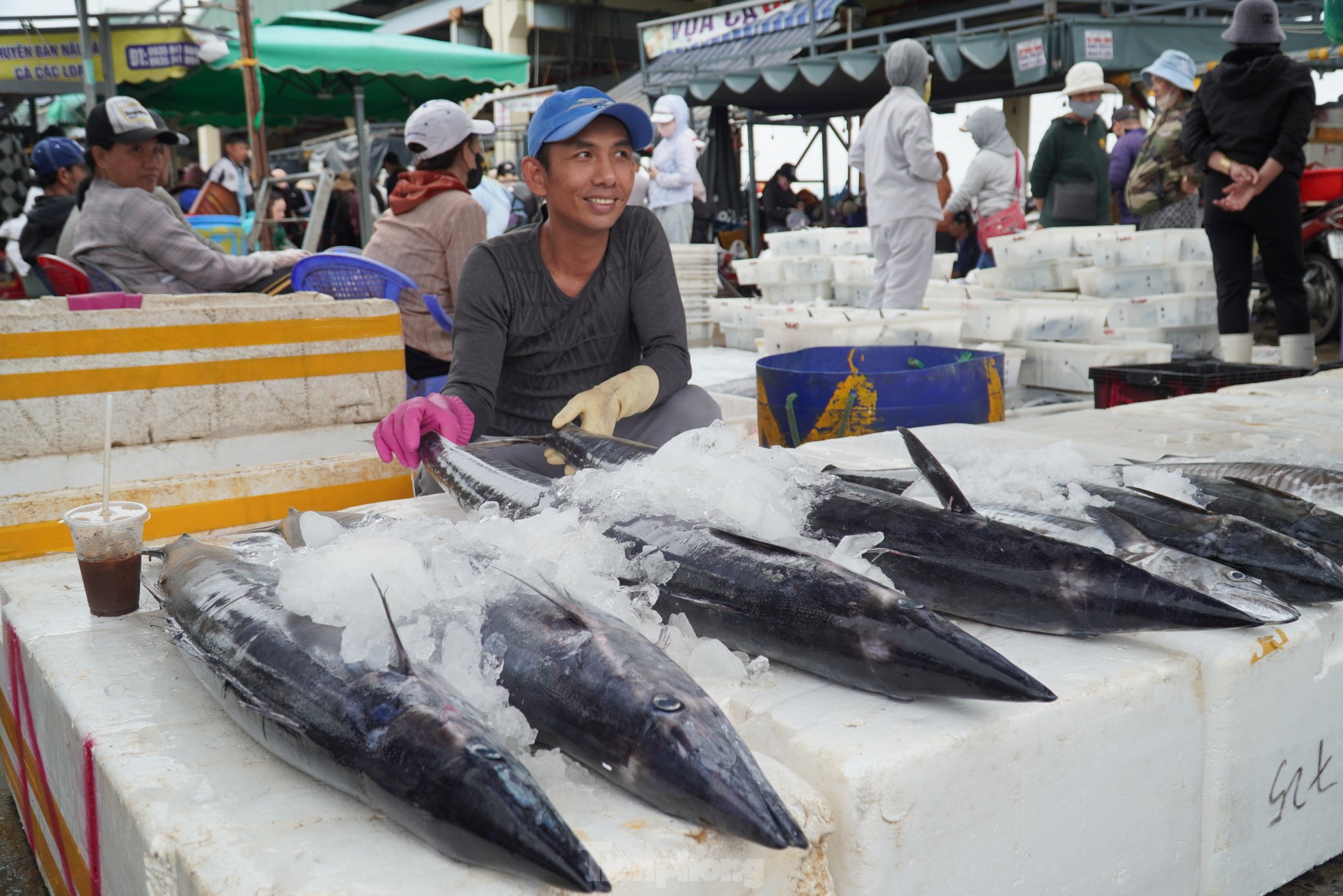 Ngư dân đánh bắt được cá 'khủng' phải vài người khiêng lên bờ ảnh 21