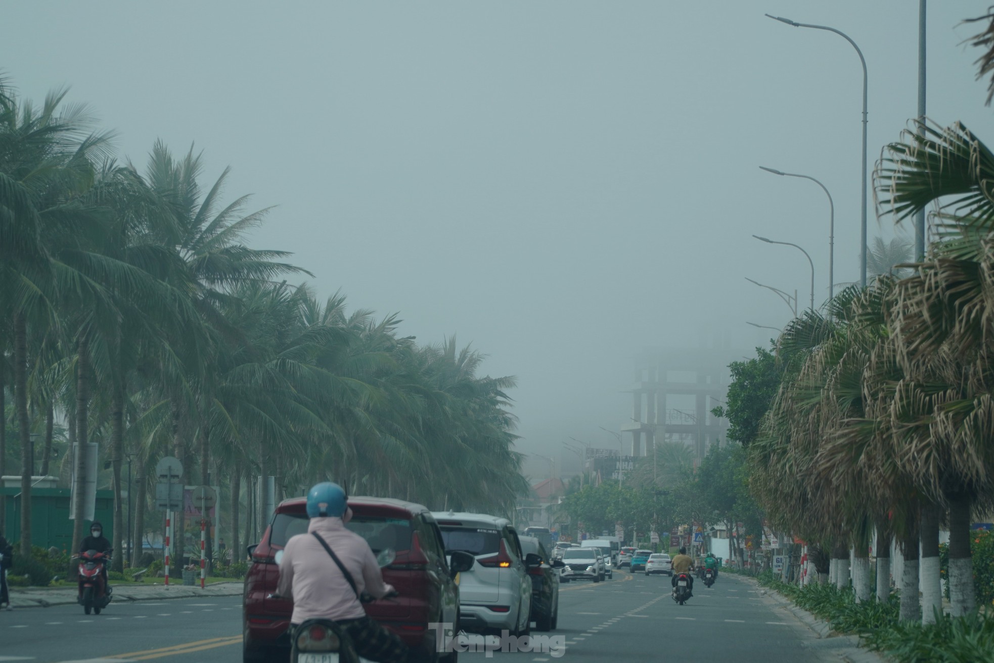 Sương mù giăng khắp tuyến đường ven biển, Đà Nẵng hóa thành Đà Lạt ảnh 9