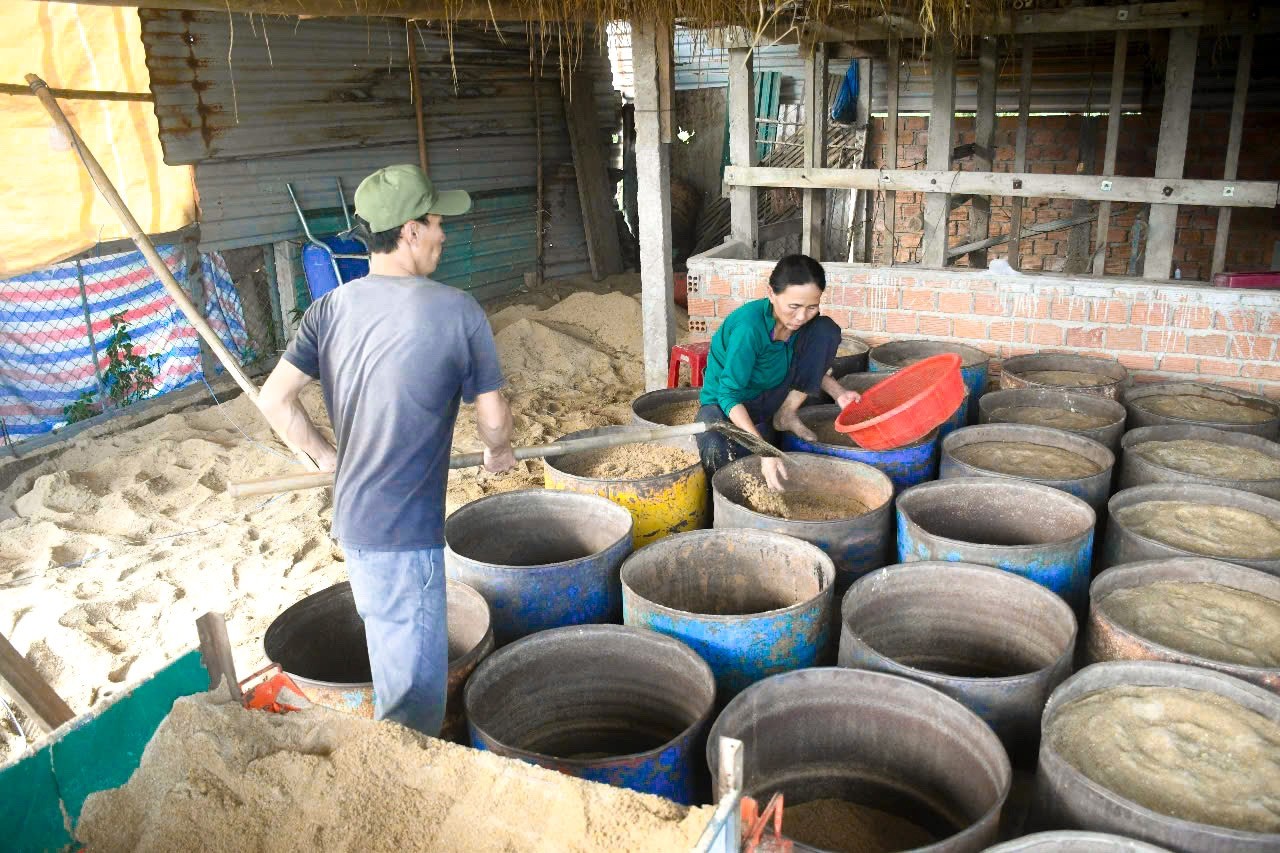 Những người cuối cùng làm giá đỗ thủ công bằng cát sông Trà Khúc ảnh 1