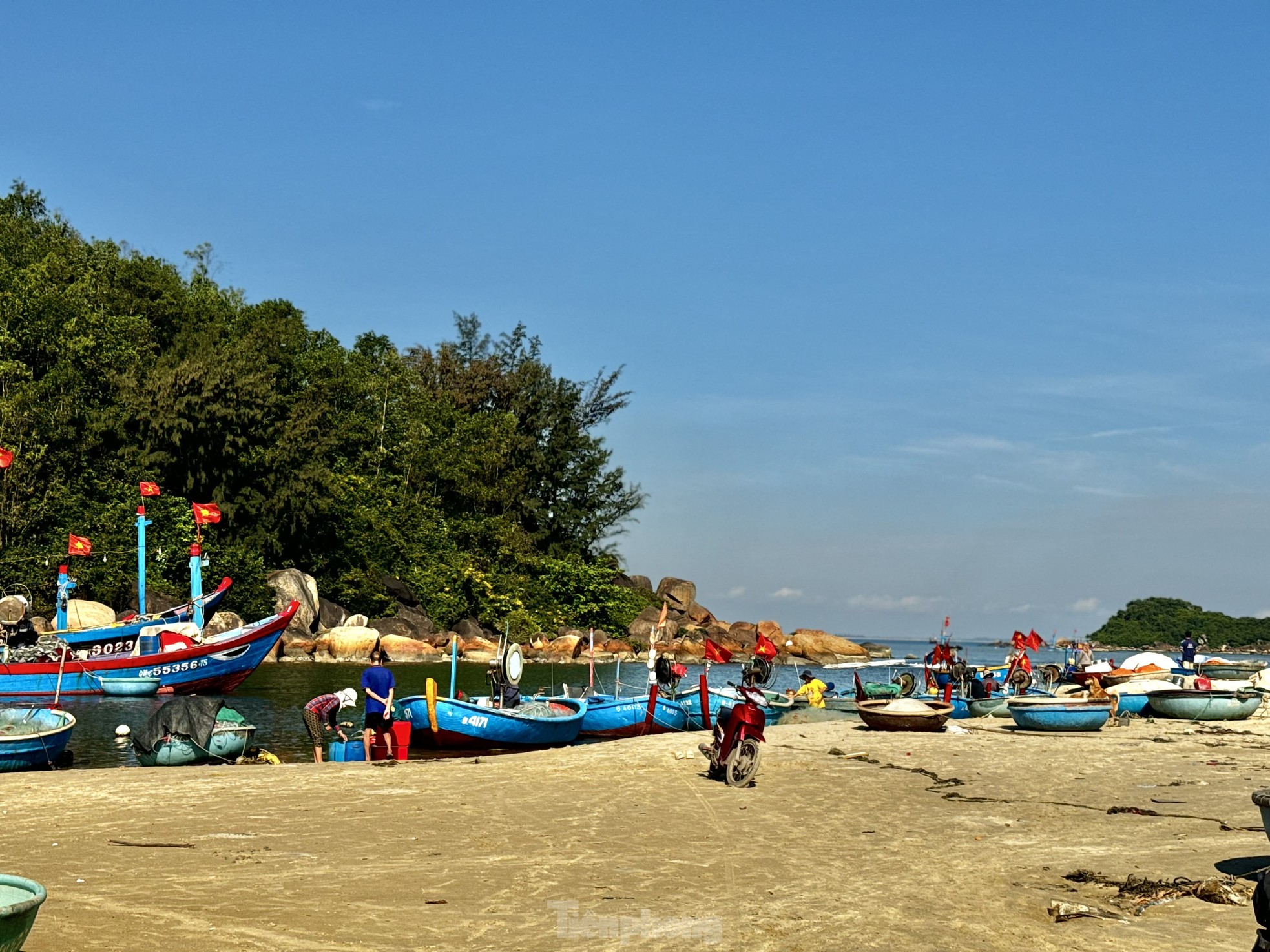 Quảng Ngãi: Bình minh ở làng chài Sơn Trà ảnh 2