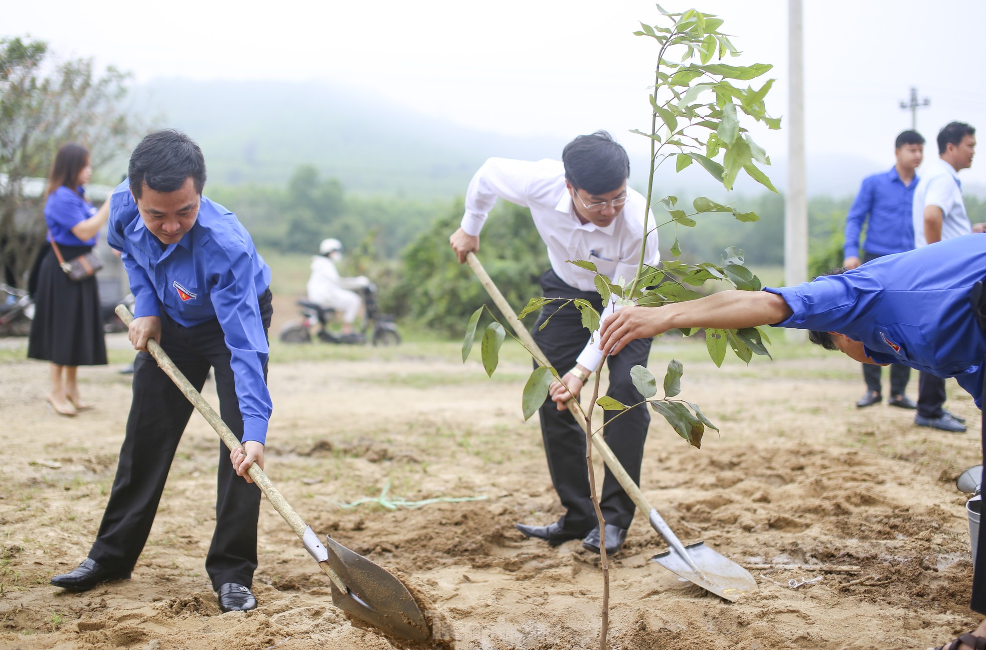 Tuổi trẻ Bình Định, Quảng Ngãi ra quân Tháng Thanh niên ảnh 6