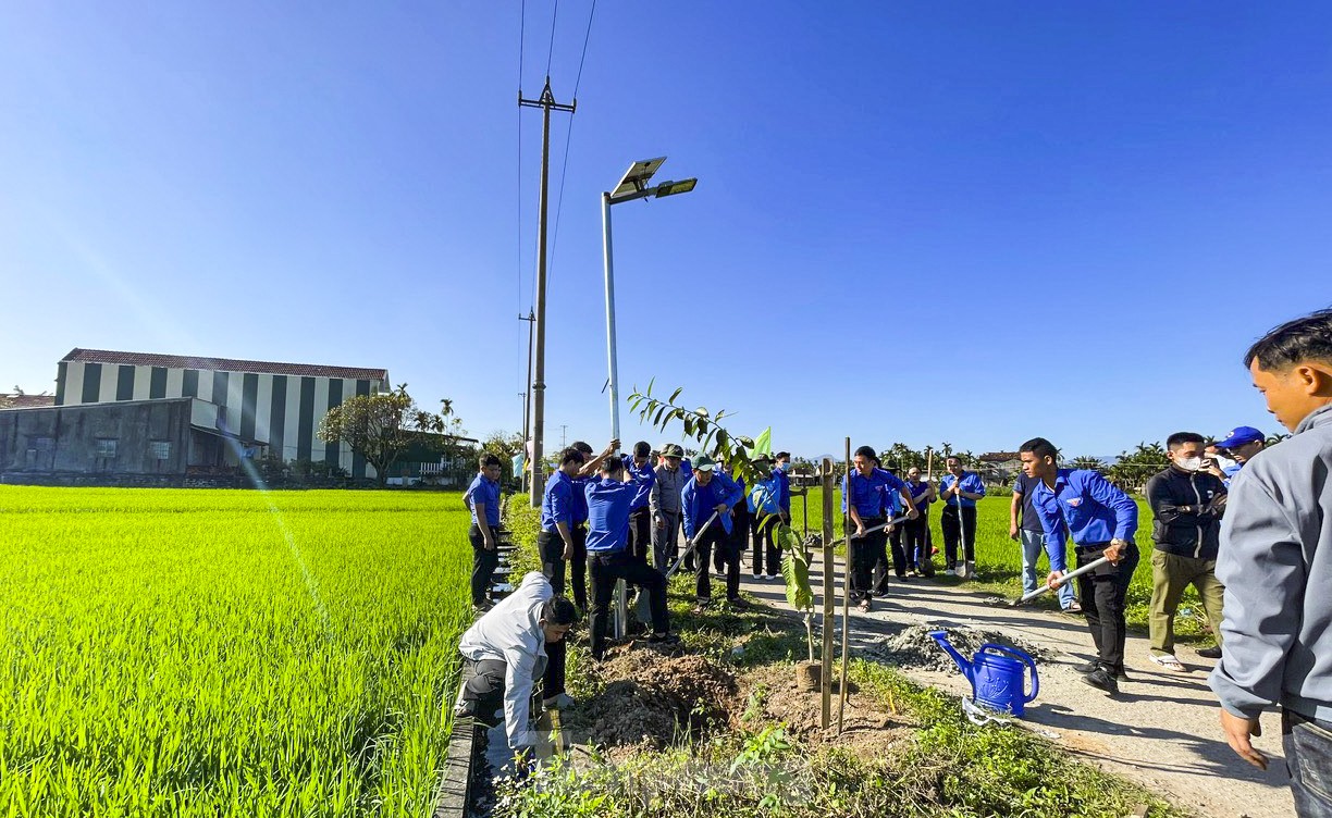 Tuổi trẻ Bình Định, Quảng Ngãi ra quân Tháng Thanh niên ảnh 16