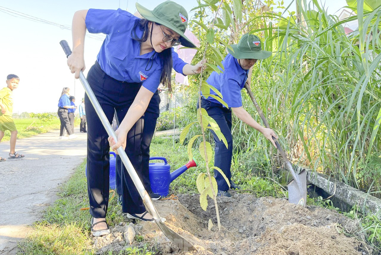 Tuổi trẻ Bình Định, Quảng Ngãi ra quân Tháng Thanh niên ảnh 15