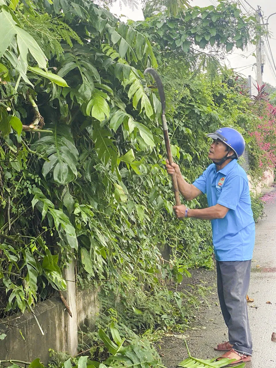 Ngày thứ Bảy đặc biệt ở một xã ảnh 4
