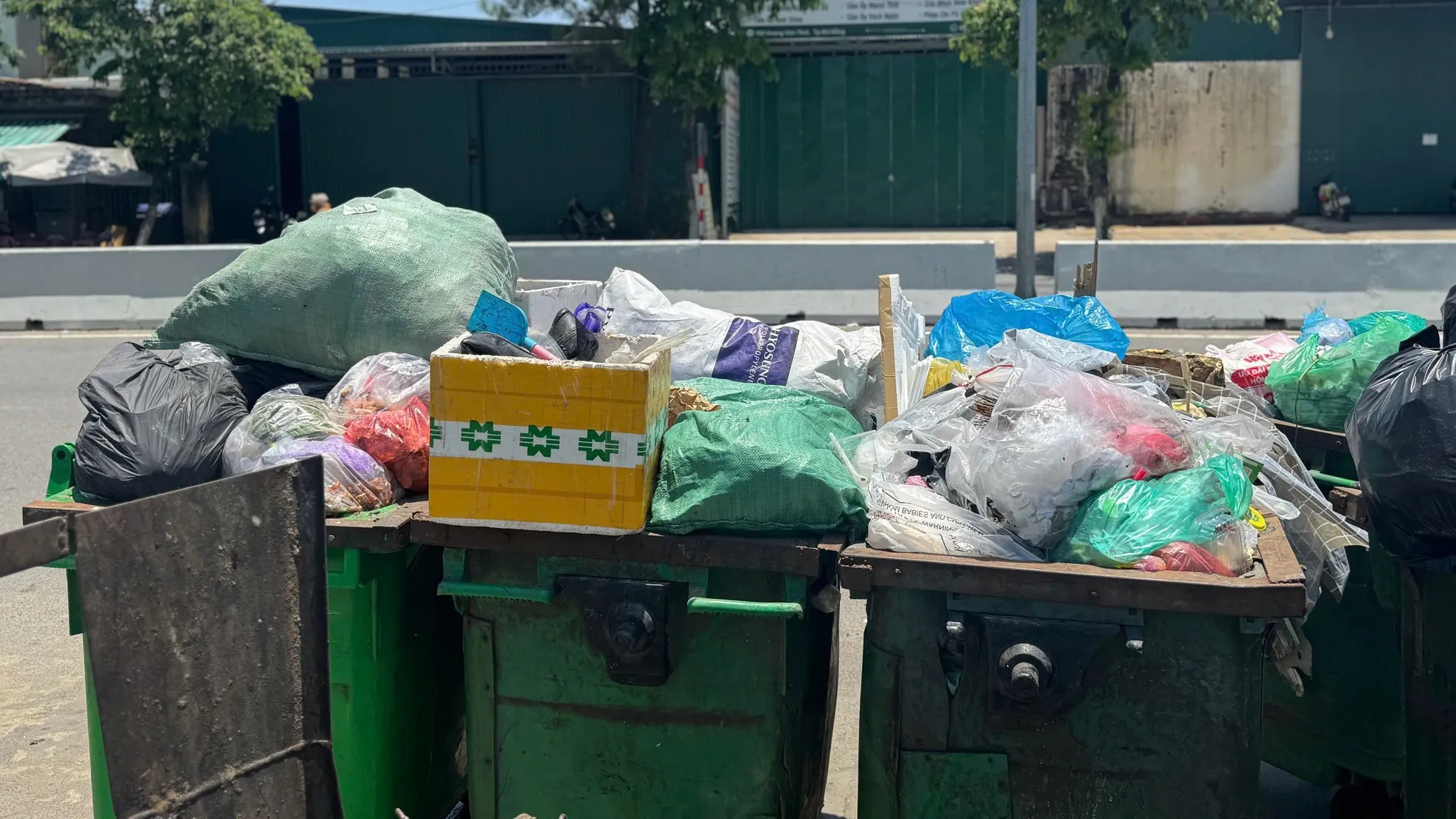Rác chất đống tràn ra đường ở Đà Nẵng ảnh 5