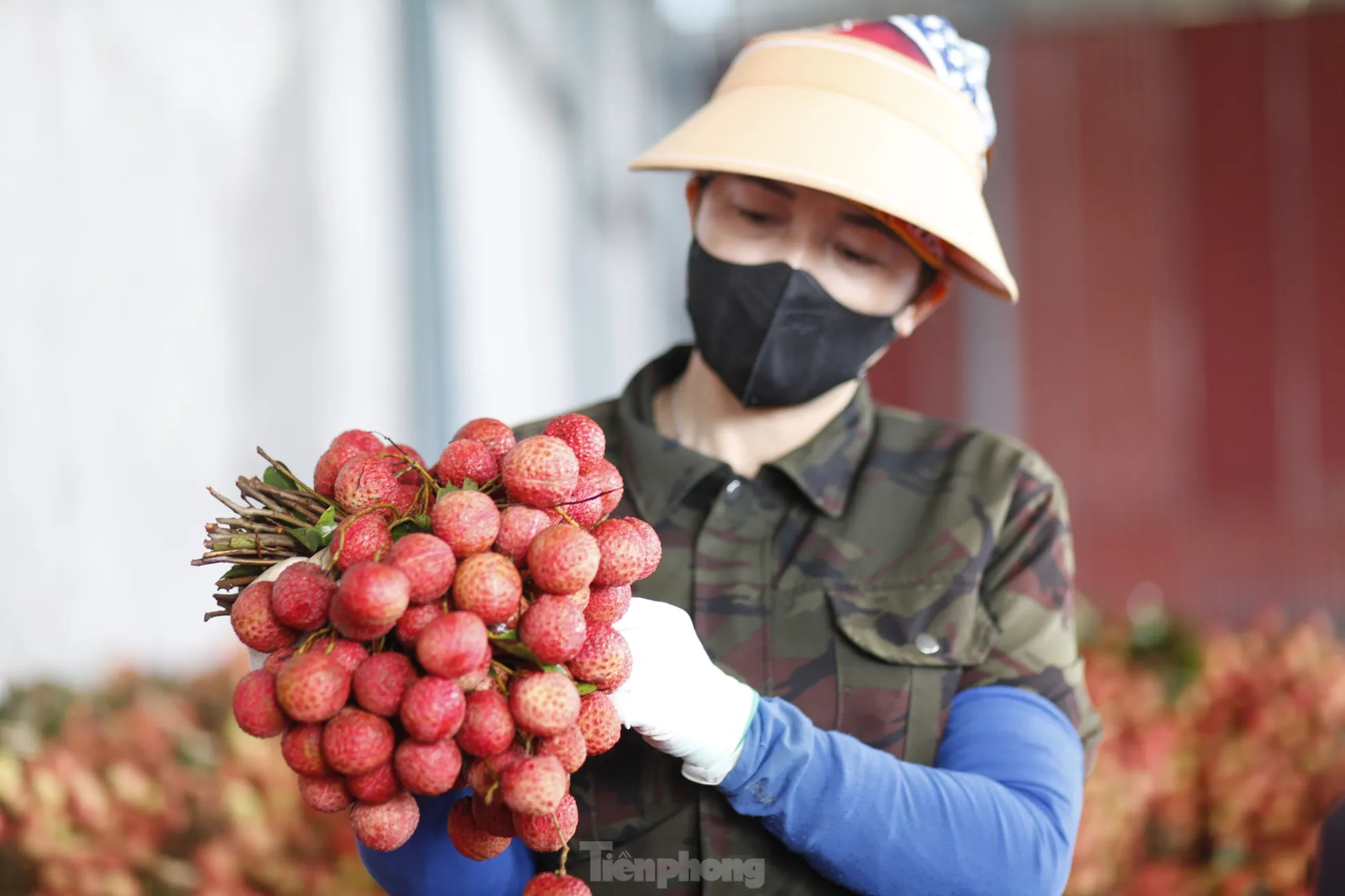 Đi chợ vải thiều Bắc Giang ảnh 10