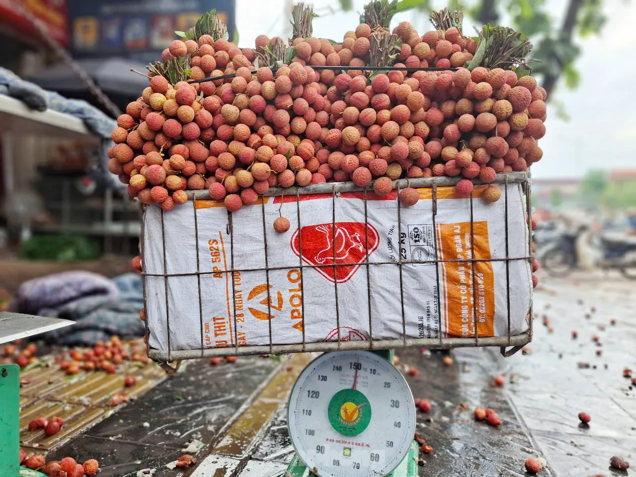 Đi chợ vải thiều Bắc Giang ảnh 9