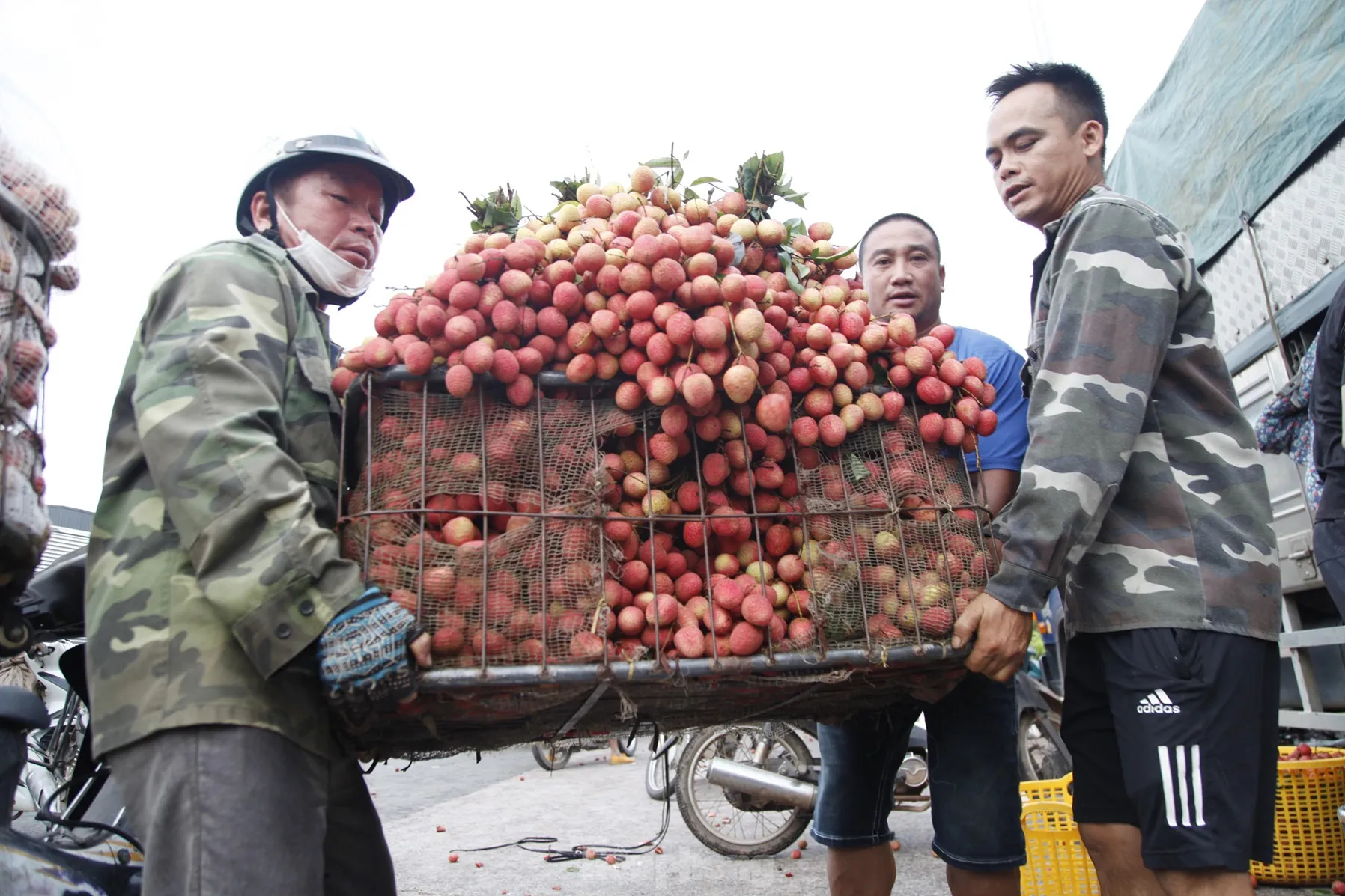 Đi chợ vải thiều Bắc Giang ảnh 8