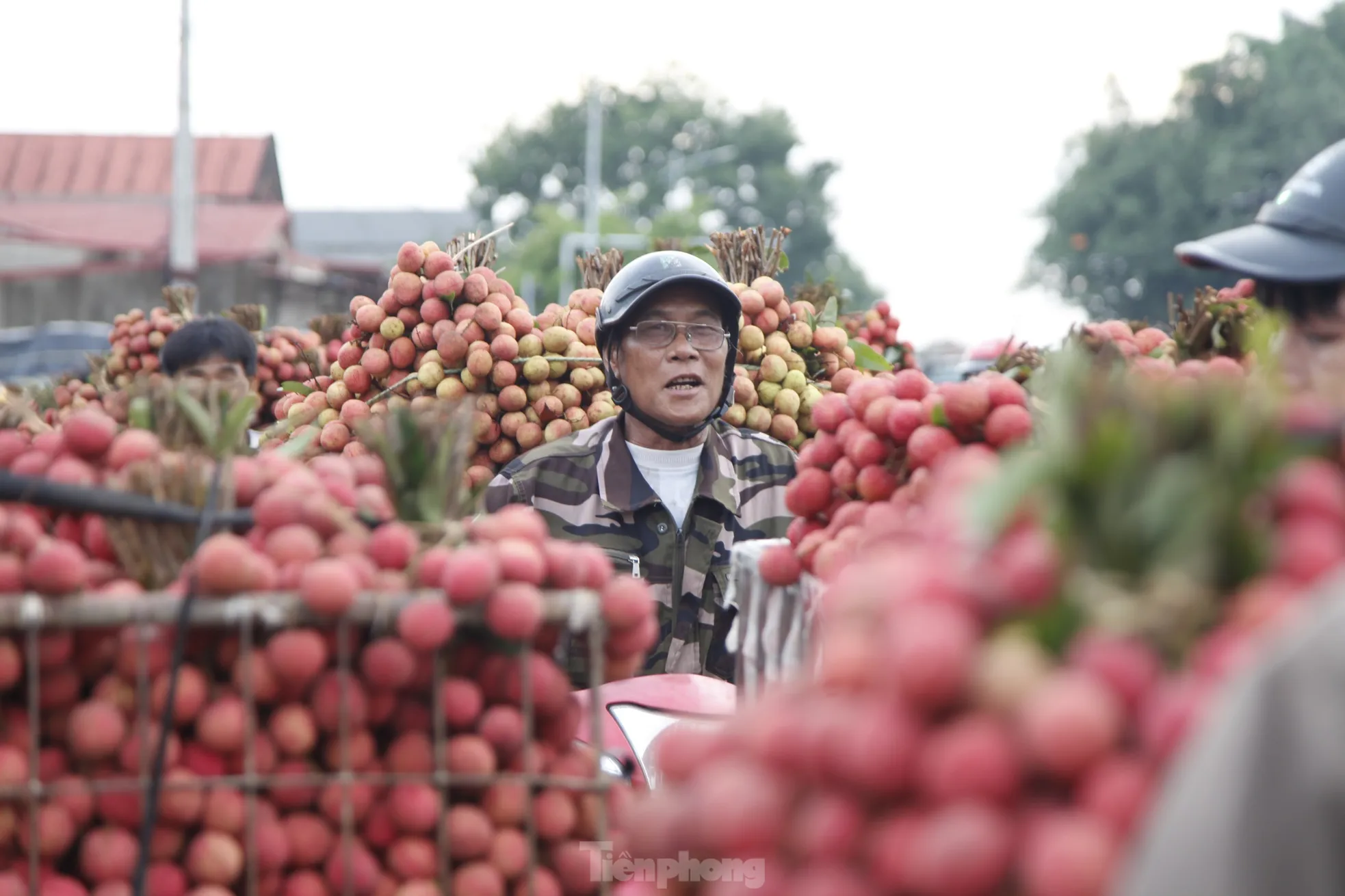 Đi chợ vải thiều Bắc Giang ảnh 3