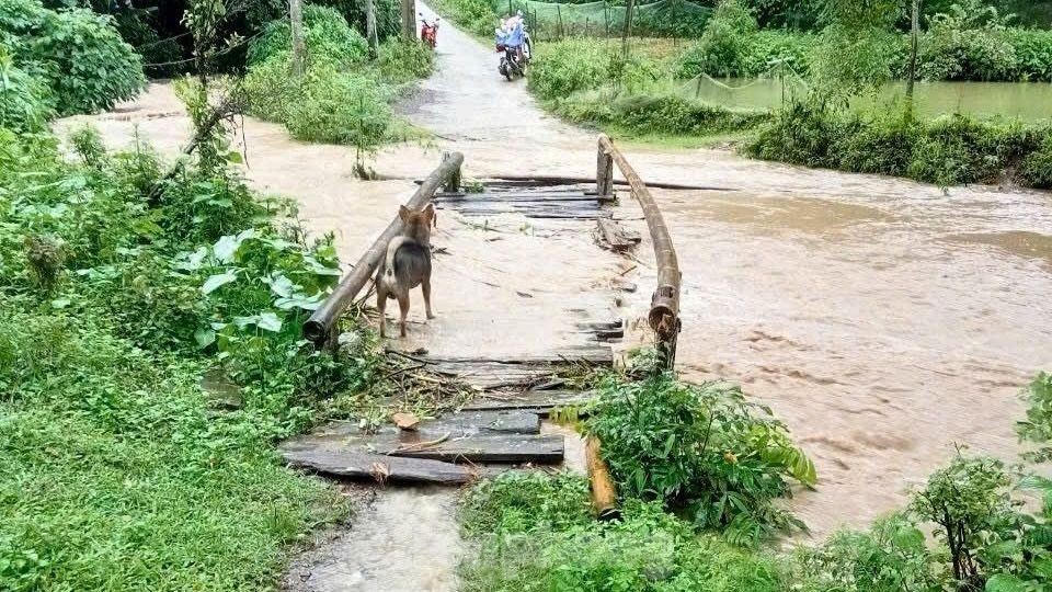 Khánh thành cầu thiện nguyện Nà Dài - Bình Anh: Nối yêu thương, mở đường làm ăn cho dân bản ảnh 3