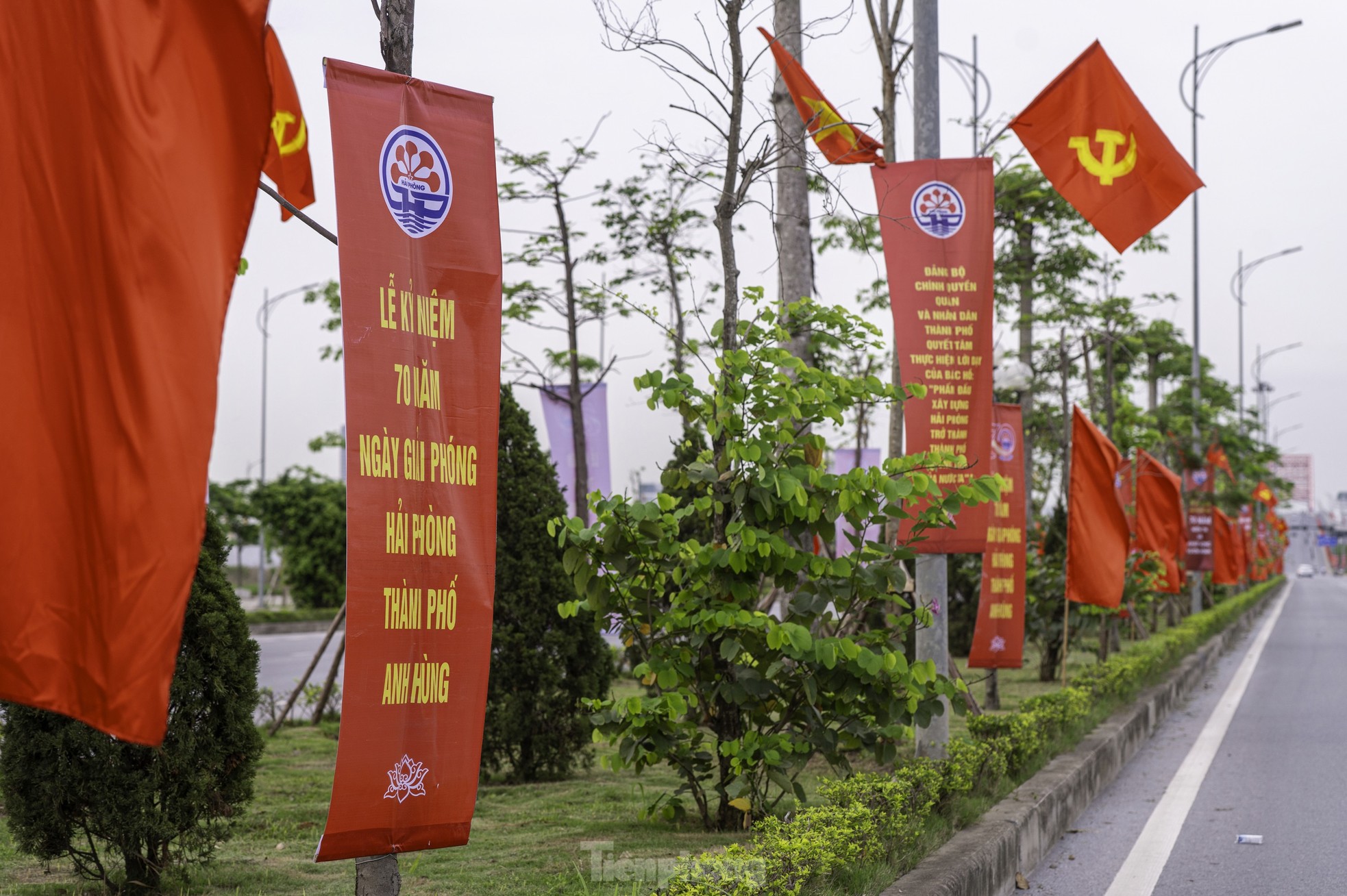 Hải Phòng rực rỡ cờ hoa mừng kỷ niệm 70 năm Ngày giải phóng ảnh 22