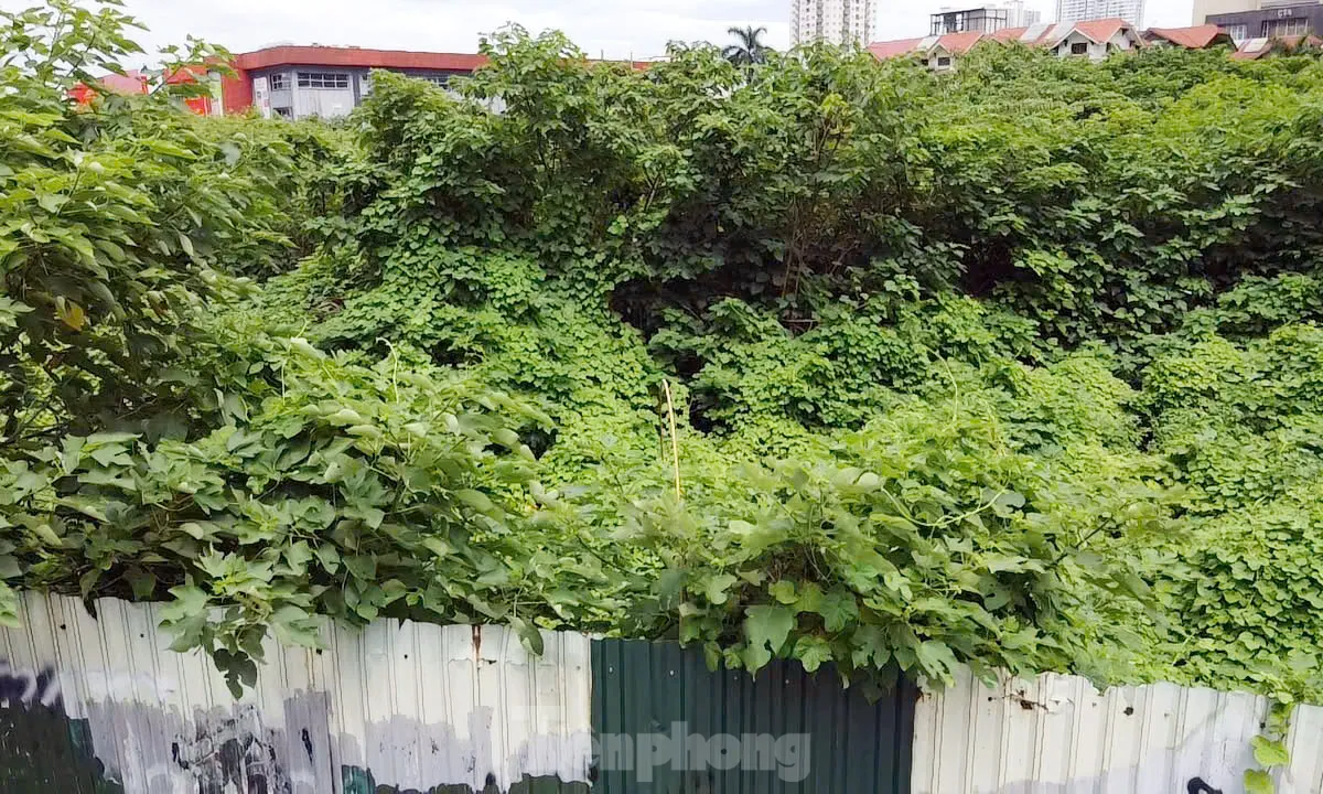 Dự án tháp tài chính gần 4.000 tỷ đồng ở Hà Nội 'hoá rừng' sau 20 năm ôm đất lãng phí ảnh 9