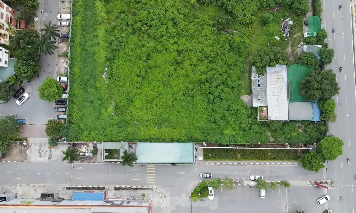 Dự án tháp tài chính gần 4.000 tỷ đồng ở Hà Nội 'hoá rừng' sau 20 năm ôm đất lãng phí ảnh 6