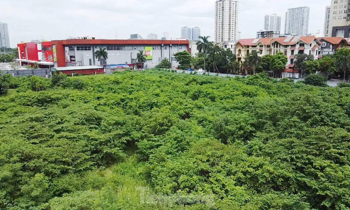 Dự án tháp tài chính gần 4.000 tỷ đồng ở Hà Nội 'hoá rừng' sau 20 năm ôm đất lãng phí ảnh 4