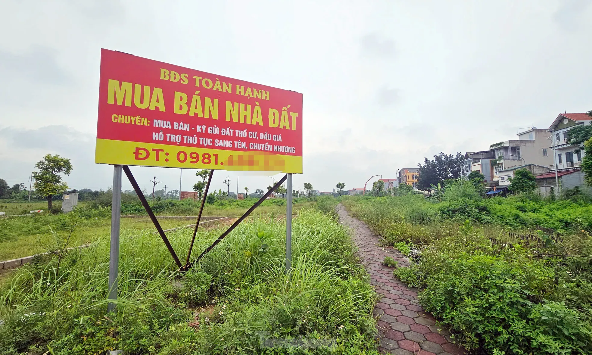 Hà Nội: Rầm rộ đấu giá đất rồi... bỏ hoang lãng phí ảnh 6