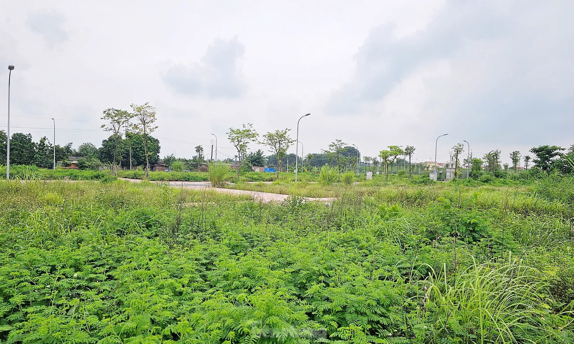Hà Nội: Rầm rộ đấu giá đất rồi... bỏ hoang lãng phí ảnh 13