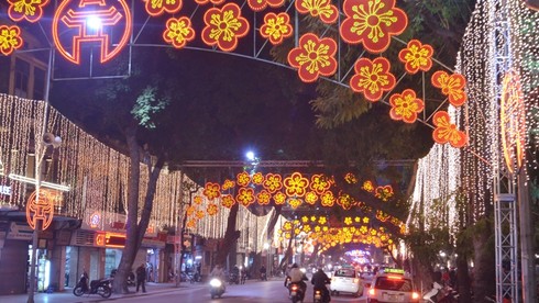 Hà Nội rực rỡ đón năm mới - ảnh 4