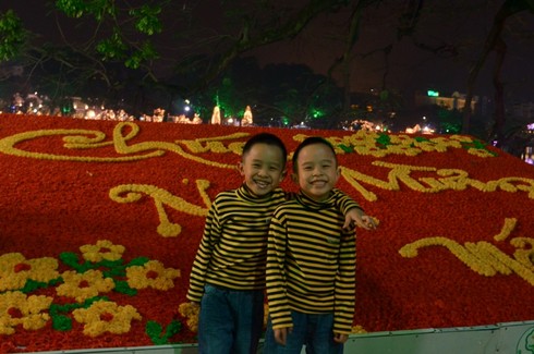 Hà Nội rực rỡ đón năm mới - ảnh 5