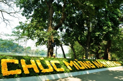 Hà Nội rực rỡ đón năm mới - ảnh 16