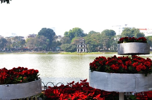 Hà Nội rực rỡ đón năm mới - ảnh 8