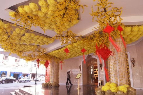 Hà Nội rực rỡ đón năm mới - ảnh 12