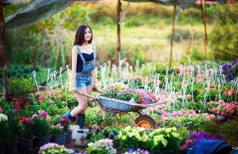 Hot girl Gia Lai hóa cô gái làm vườn đón Tết - ảnh 7